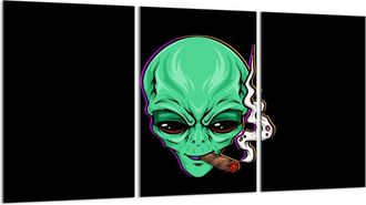 OEM Placa Protectora De Vidrio Para Estufa 3x30x52