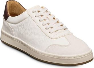 Allen Edmonds Hawthorne Sneaker in White Multi at Nordstrom, Size 11.5