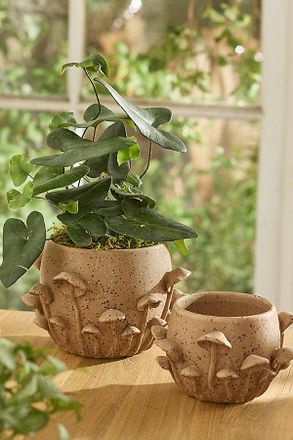 Terrain Mushroom Forest Ceramic Pot