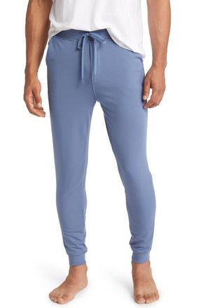 Cozy Earth Ultrasoft Jogger Sweatpants in Blue at Nordstrom, Size Xx-Large