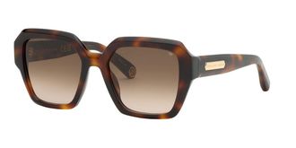 Philipp Plein SPP216M 0752 Womens Sunglasses Tortoiseshell Size 55