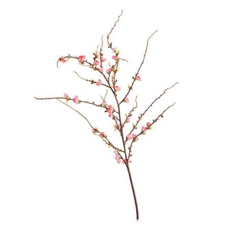 Ballard Designs Peach Blossom Stems - Set of 6 - Pink - Ballard Designs