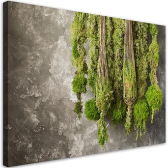 Artgeist Quadro su tela, Muschio pianta natura - 120x80