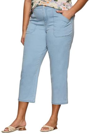 Sanctuary Retreat Mid Rise Crop Straight Leg Pants in Skyline Blue at Nordstrom, Size 16W
