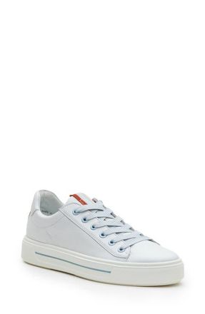 Ara Camden Sneaker in White Cervocalf at Nordstrom, Size 11.5