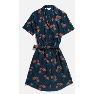 Bridge & Burn Sofia Shirt Dress in Wildflower at Nordstrom, Size Xx-Large