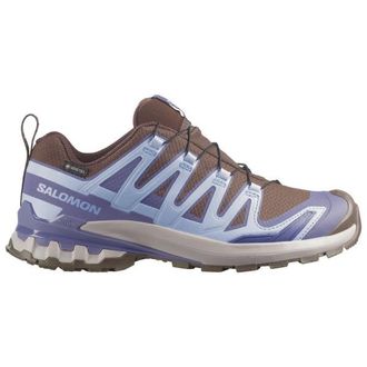 Salomon XA Pro 3D V9 GTX Multisportschuhe f&uuml;r Damen | grau