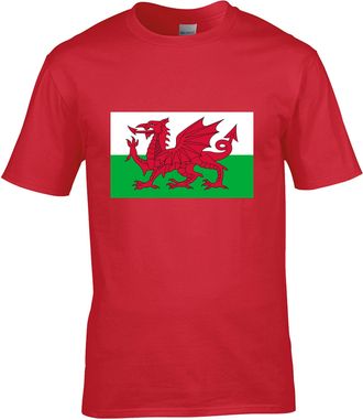 Generic Wales Welsh Dragon T-Shirt Cymru Patriot Flag of Wales tees Workwear Top Red