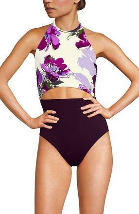 Lands End Tugless Halter Monokini High Leg One Piece Swimsuit in Egret/berry Etched Floral at Nordstrom, Size 18