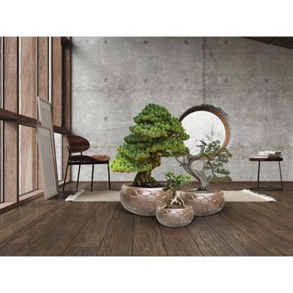 Schuller Set 3 Maceteros Canela-bronce