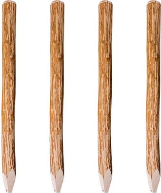 vidaXL Postes De Valla Puntiagudos 4 Uds Madera De Avellano 120 Cm Vidaxl