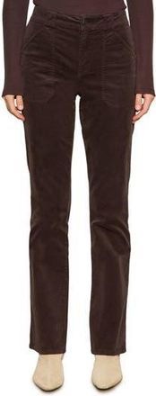 Sanctuary Hayden Bootcut Corduroy Pants in Semi Sweet at Nordstrom Rack, Size 26 P
