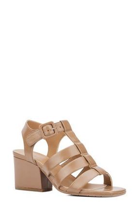 Aquatalia Rebecka Weatherproof Gladiator Sandal in Caffe at Nordstrom Rack, Size 11