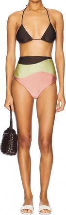 Adriana Degreas Giardino High-Waisted Bikini In Coffee/green/pink