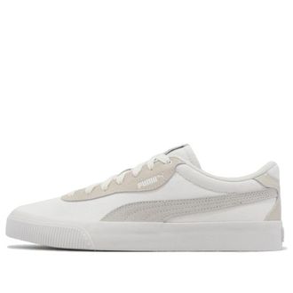 Puma IV-60 FS Warm White 392013-02