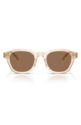 Tory Burch 48mm Phantos Sunglasses in Transparent Beige /Brown at Nordstrom