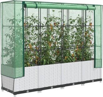 vidaXL Vidaxl - Arriate Con Cubierta Invernadero Aspecto Rat&aacute;n 160x40x138 Cm