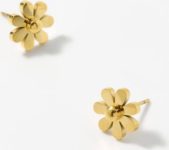 Simons Womens Golden daisy earrings
