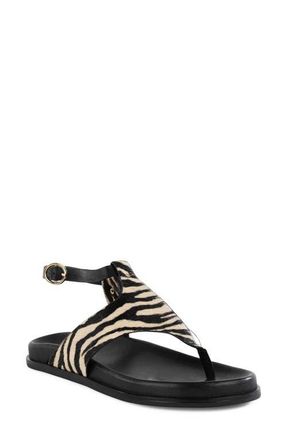 Seychelles In the Zone Ankle Strap Platform Sandal in Zebra at Nordstrom, Size 10
