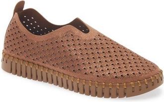 Ilse Jacobsen Tulip 3224 Slip-On Sneaker in Brown at Nordstrom, Size 41