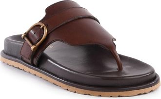 Seychelles Santa Cruz Sandal in Dark Brown at Nordstrom Rack, Size 6.5
