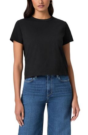 Paige Rhodes Crewneck Cotton T-Shirt in Black at Nordstrom, Size X-Large