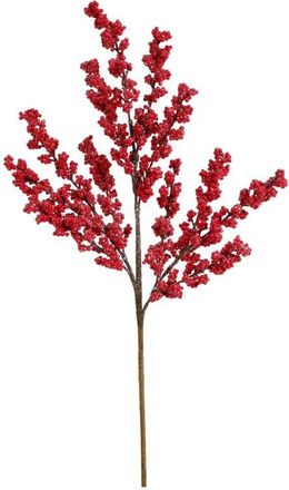 Mark Roberts Frosted Berry Spray, Set of 6 in Red at Nordstrom