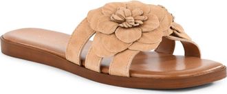 Seychelles Morning Dew Slide Sandal in Natural at Nordstrom, Size 6.5