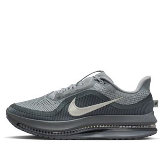 Nike Pegasus Premium Wolf Grey HQ2592-013