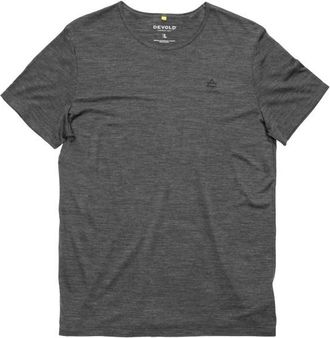 Devold Active Tee Merinoshirt f&uuml;r Herren | grau