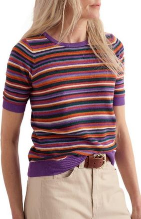 Seasalt Cornwall Lawn Striped Sweater in Tinctoria Wild Orchid at Nordstrom, Size 14