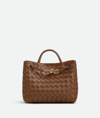 Bottega Veneta Small Andiamo - Bottega Veneta