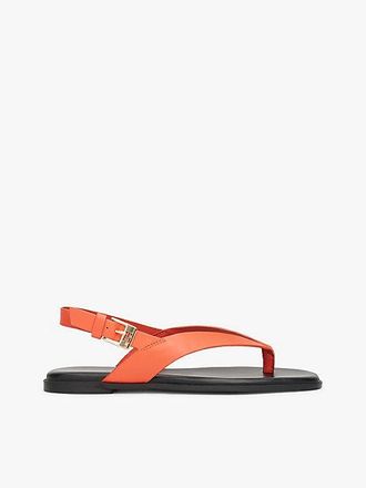 Tommy Hilfiger Sandalias color block de punta cuadrada