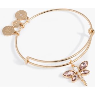 Alex and Ani Crystal Dragonfly Bangle in Gold at Nordstrom