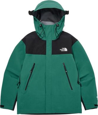 The North Face Gore-Tex Mountain 3L Jacket Green Black NJ2GQ01C