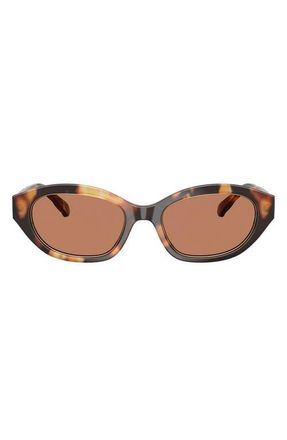Tory Burch 52mm Polarized Irregular Sunglasses in Contrast Tortoise /Amber at Nordstrom