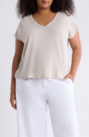 Eileen Fisher V-Neck Organic Cotton Top in Chalk at Nordstrom, Size 3 X