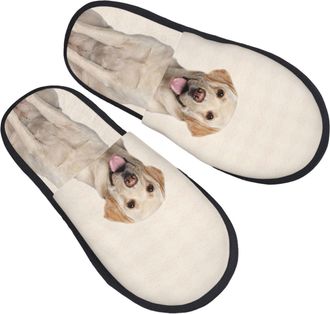 Generic Camping Slippers Labrador Dog Unisex Fleece Slippers Soft Anti-Slide Slipper For Men Winter Spa M