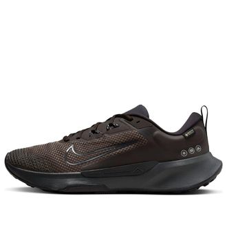 Nike Juniper Trail 2 Gore-Tex Velvet Brown FB2067-200