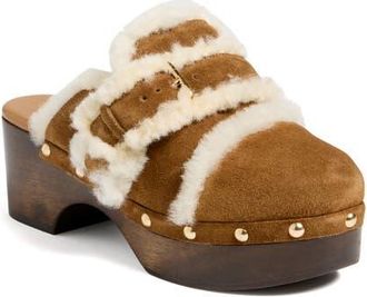 Cinq &agrave; Sept Wrenley Genuine Shearling Buckle Clog in Golden Sienna at Nordstrom, Size 10.5Us