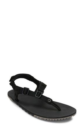 Xero Shoes H-Trail Barefoot Huarache Running Sandal in Black at Nordstrom, Size 12