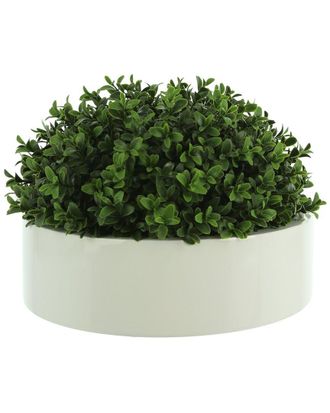 Creative Displays Inc. Boxwood Greenery