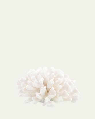 John-Richard Maldives Coral