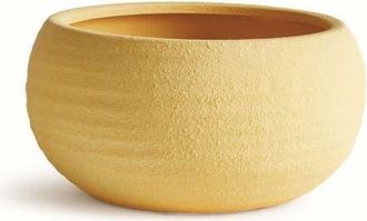 Napa Home & Garden Anderson Decorative Bowl in Yellow at Nordstrom
