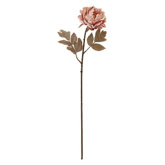 Ballard Designs Peony Stem - Blush - Ballard Designs