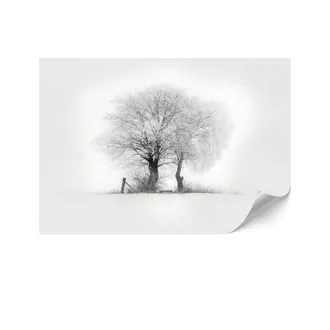 OEM Carta Da Parati Standard In Tessuto Non Tessuto - 100 X 70 Cm - Stile Minimalista - Natura Carta Da Parati Standard In Tessuto Non Tessuto - 450 X 315