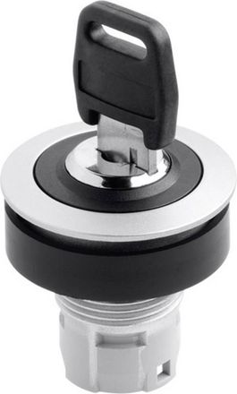 Frits Schlegel Rontron Rrjssa18 Conmutador Con Llave Negro