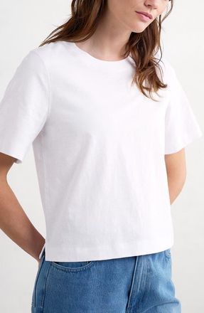 Seasalt Cornwall Copseland Organic Cotton T-Shirt at Nordstrom, Size 16 Us