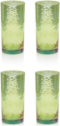 Zodax Set of 4 Aperitivo Highball Glasses in Green at Nordstrom Rack