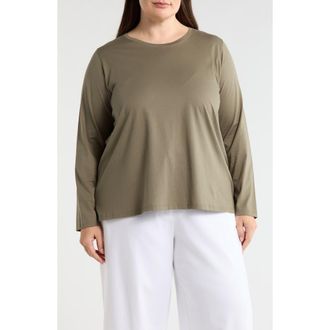 Eileen Fisher Long Sleeve Cotton Crewneck Top in Bay Leaf at Nordstrom, Size 1X